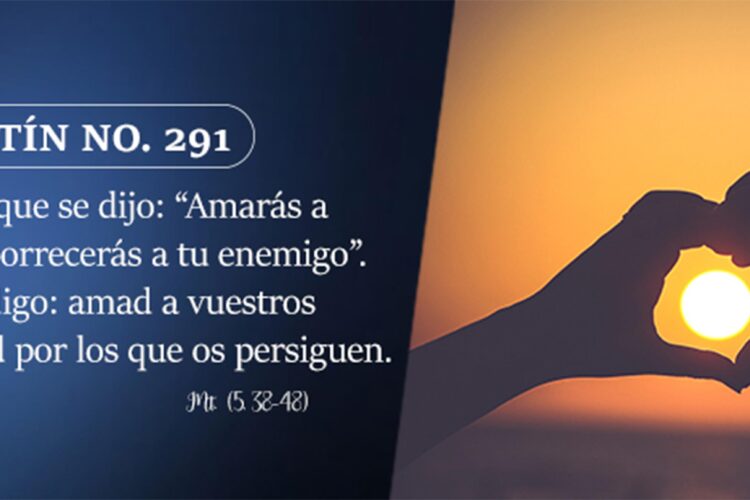 BOLETÍN INFORMATIVO NO. 291