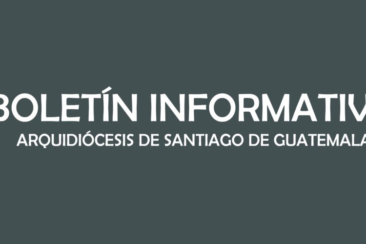 BOLETÍN INFORMATIVO NO. 319 -2020-