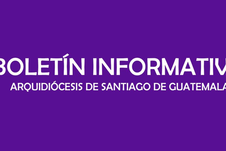 BOLETÍN INFORMATIVO NO. 329