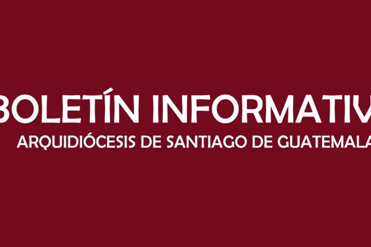 BOLETÍN INFORMATIVO NO. 330