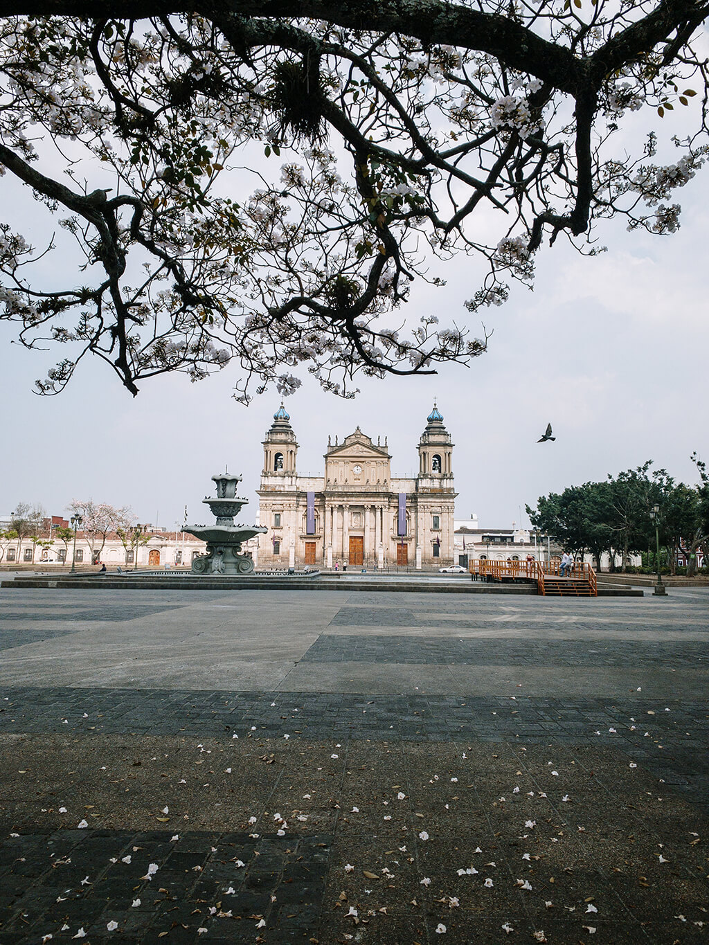 catedral metropolitana ArzobispadodeGuatemala