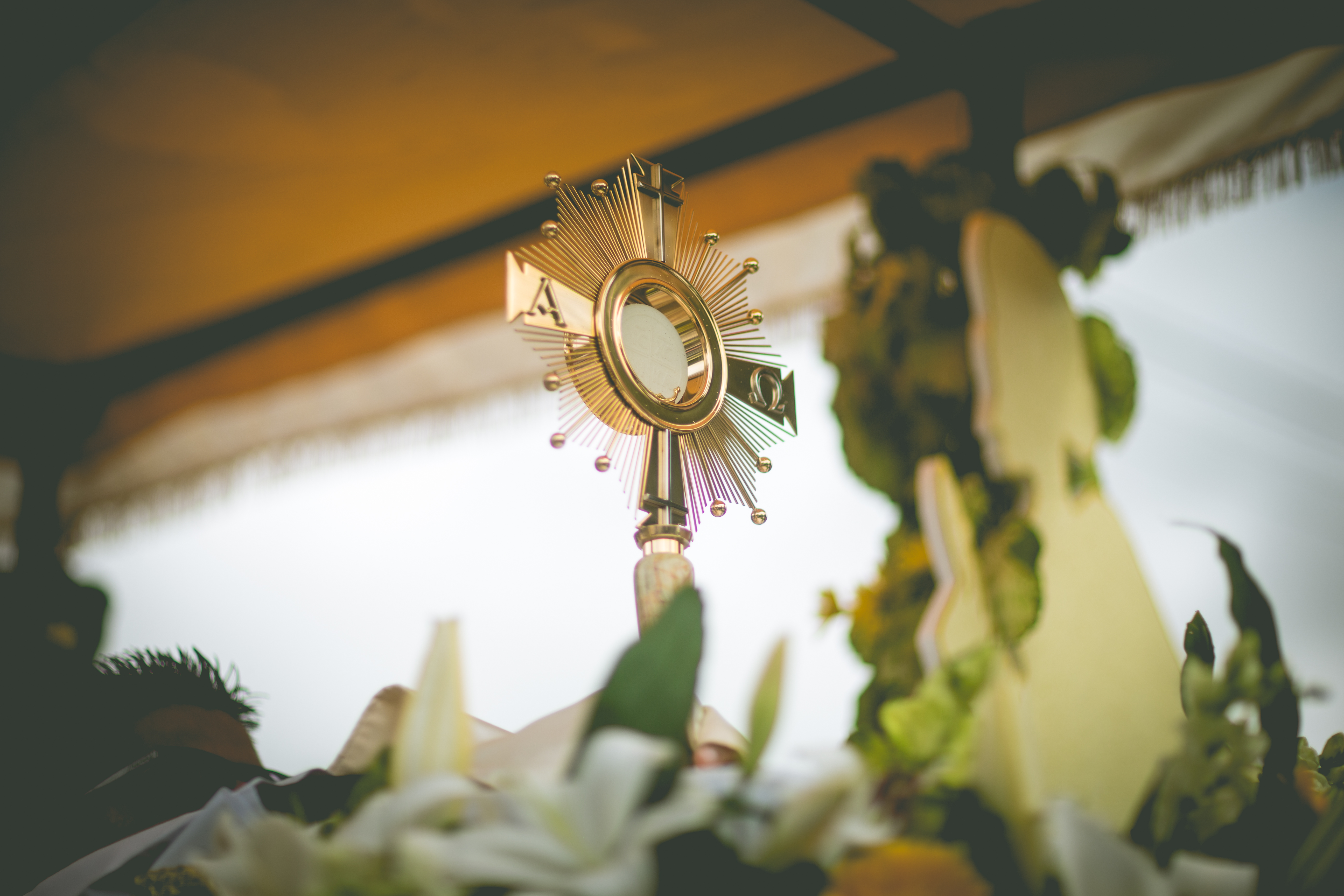 cathopic 1505591771543679 ArzobispadodeGuatemala